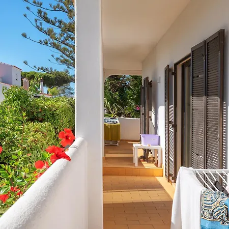 Vandrerhjem Blife Sun &