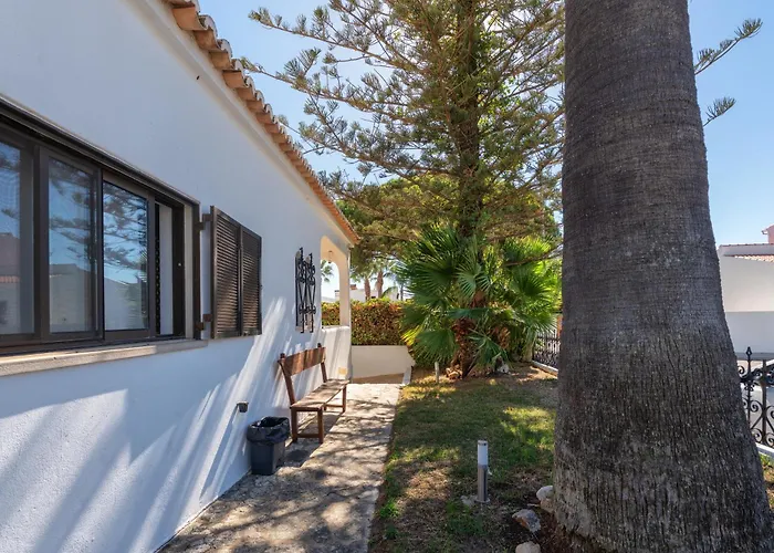 Auberge de jeunesse Blife Sun & *